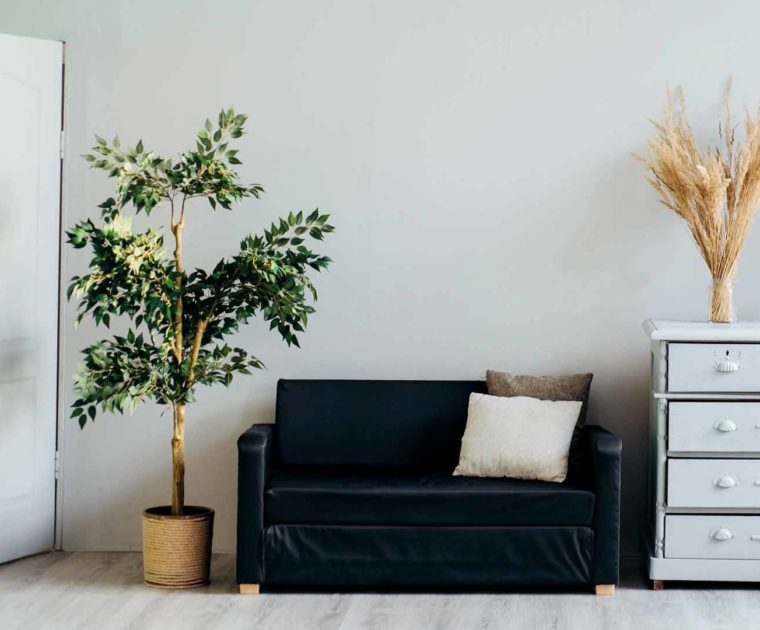 colores sofa moda
